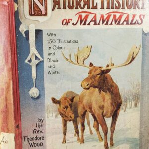 natural history of mammels