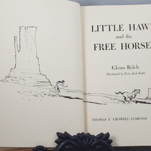 little hawk and the free horses