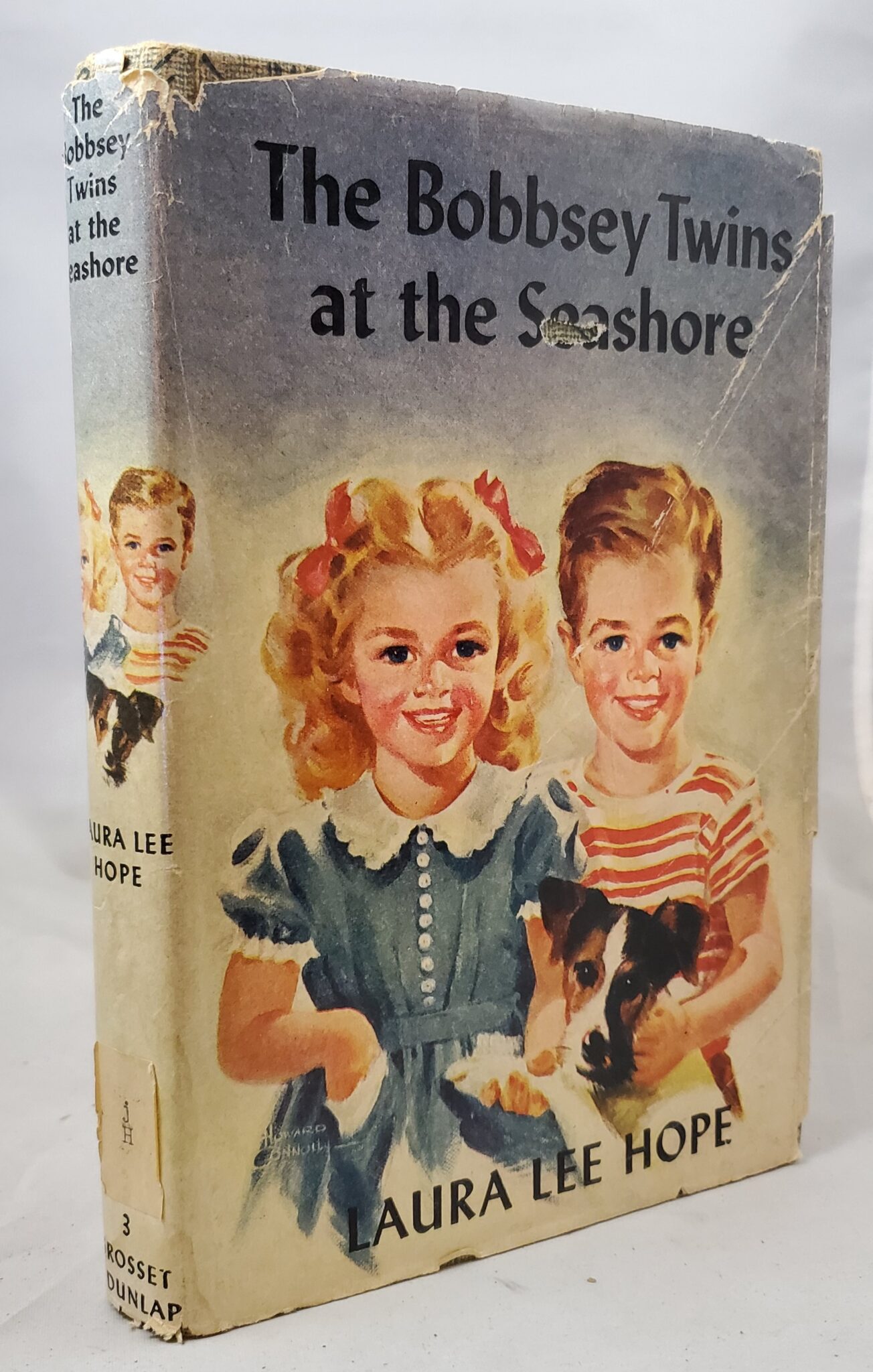 Bobbsey Twins at the Seashore – seek ye best books