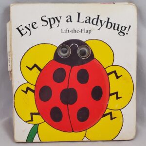 eye spy a ladybug