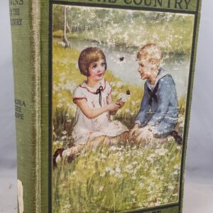 bobbsey twins in the country
